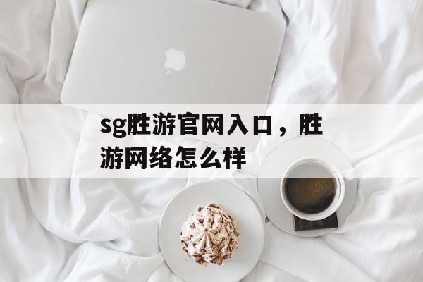 sg胜游官网入口，胜游网络怎么样